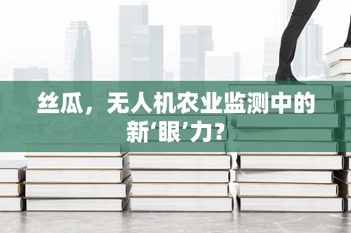 丝瓜，无人机农业监测中的新‘眼’力？