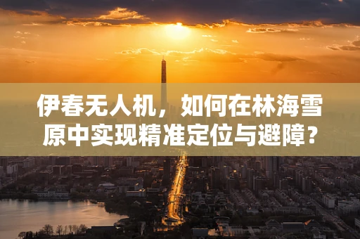 伊春无人机，如何在林海雪原中实现精准定位与避障？