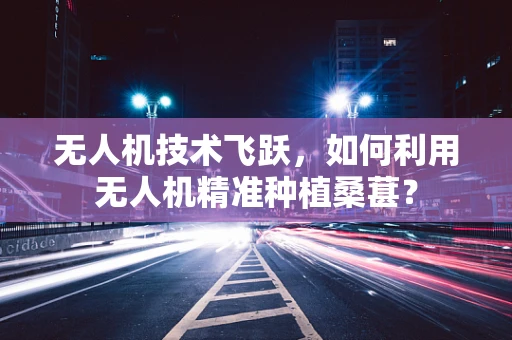无人机技术飞跃，如何利用无人机精准种植桑葚？