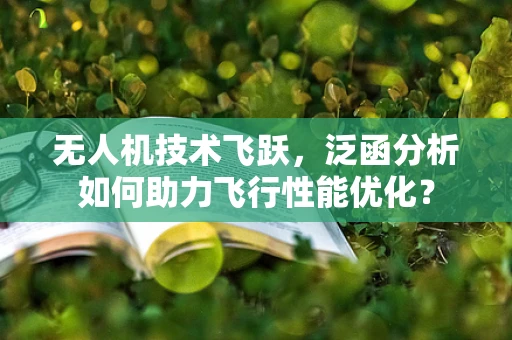 无人机技术飞跃，泛函分析如何助力飞行性能优化？