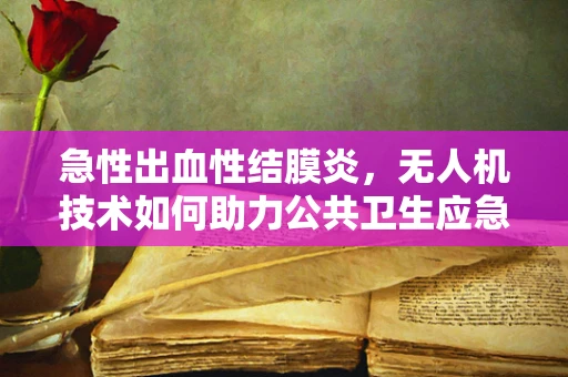 急性出血性结膜炎，无人机技术如何助力公共卫生应急响应？