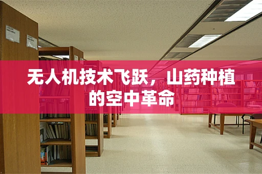 无人机技术飞跃，山药种植的空中革命