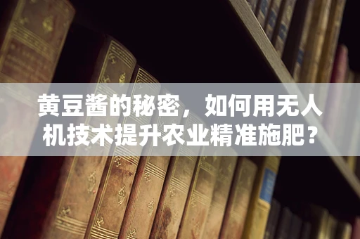 黄豆酱的秘密，如何用无人机技术提升农业精准施肥？