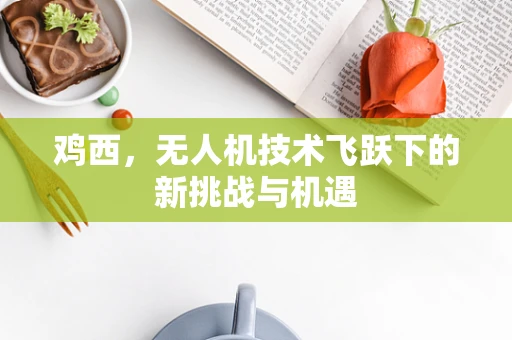 鸡西，无人机技术飞跃下的新挑战与机遇