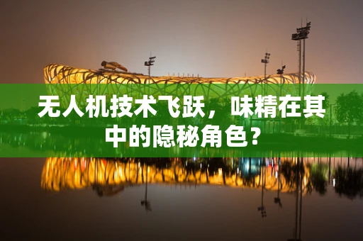无人机技术飞跃，味精在其中的隐秘角色？