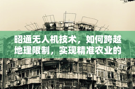 昭通无人机技术，如何跨越地理限制，实现精准农业的飞跃？