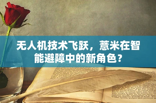 无人机技术飞跃，薏米在智能避障中的新角色？