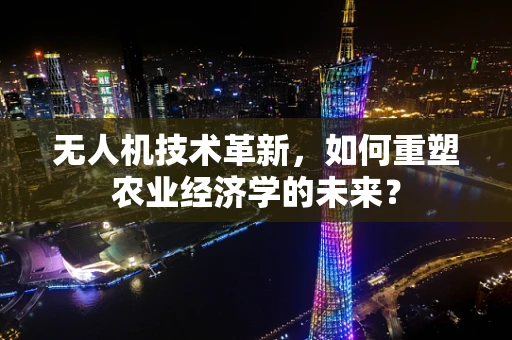 无人机技术革新，如何重塑农业经济学的未来？