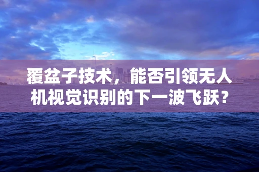 覆盆子技术，能否引领无人机视觉识别的下一波飞跃？