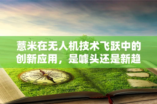 薏米在无人机技术飞跃中的创新应用，是噱头还是新趋势？