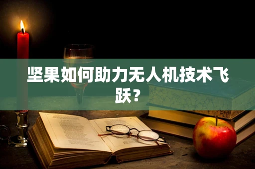 坚果如何助力无人机技术飞跃？