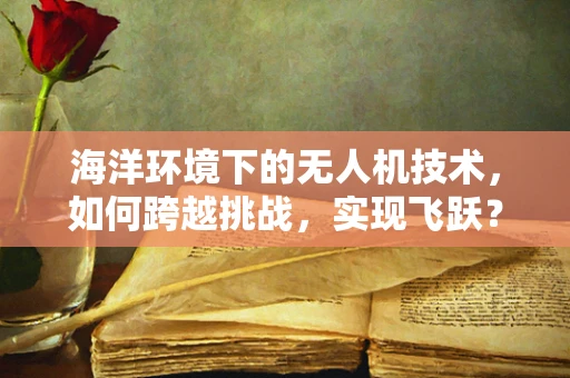 海洋环境下的无人机技术，如何跨越挑战，实现飞跃？