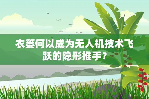 衣篓何以成为无人机技术飞跃的隐形推手？