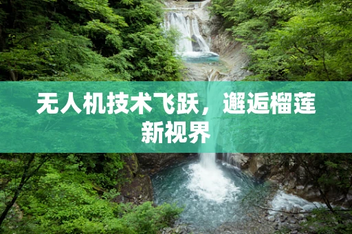 无人机技术飞跃，邂逅榴莲新视界