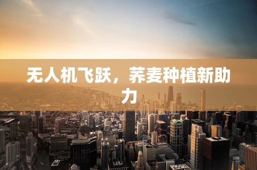 无人机飞跃，荞麦种植新助力