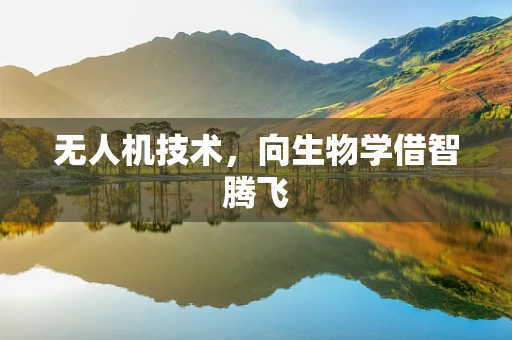 无人机技术，向生物学借智腾飞