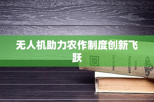 无人机助力农作制度创新飞跃
