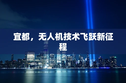 宜都，无人机技术飞跃新征程