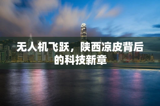 无人机飞跃，陕西凉皮背后的科技新章