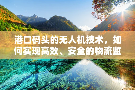 港口码头的无人机技术，如何实现高效、安全的物流监控？