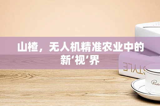 山楂，无人机精准农业中的新‘视’界