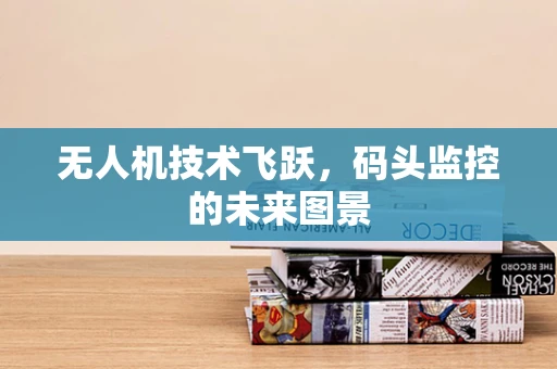无人机技术飞跃，码头监控的未来图景