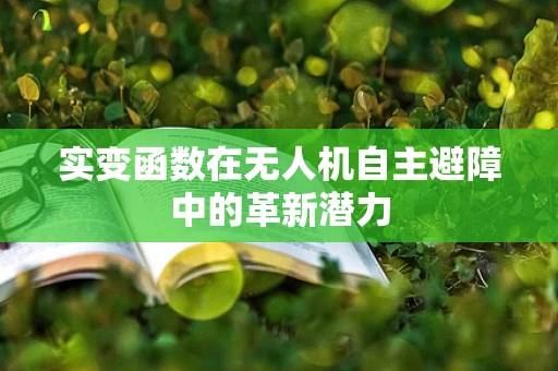 实变函数在无人机自主避障中的革新潜力