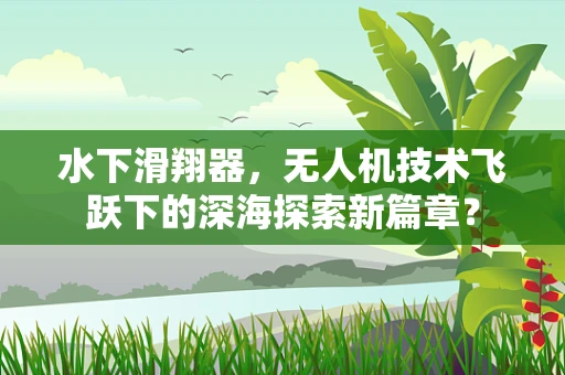 水下滑翔器，无人机技术飞跃下的深海探索新篇章？
