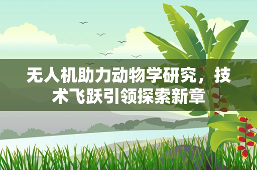 无人机助力动物学研究，技术飞跃引领探索新章