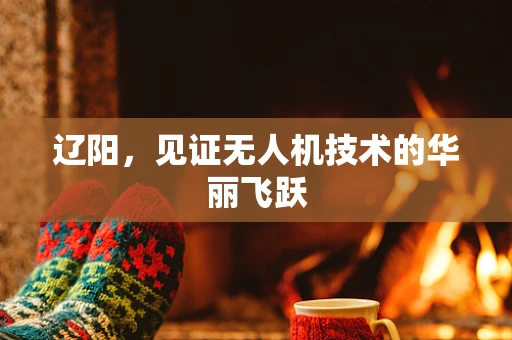辽阳，见证无人机技术的华丽飞跃