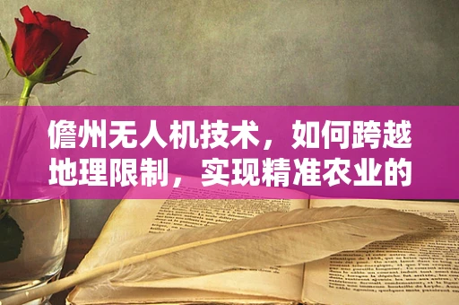 儋州无人机技术，如何跨越地理限制，实现精准农业的飞跃？