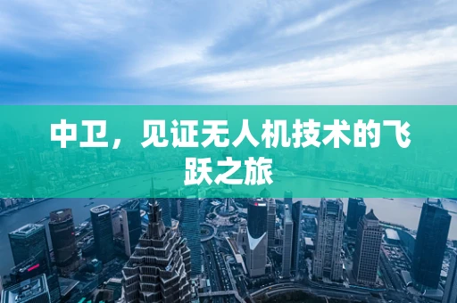 中卫，见证无人机技术的飞跃之旅