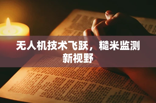 无人机技术飞跃，糙米监测新视野