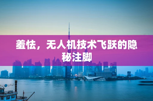 羞怯，无人机技术飞跃的隐秘注脚