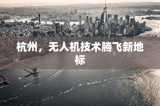 杭州，无人机技术腾飞新地标