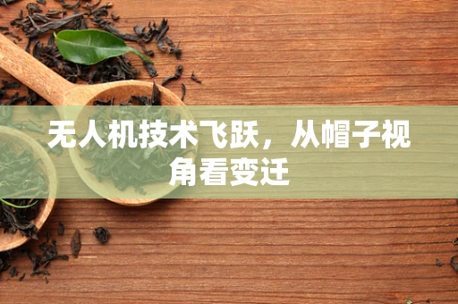 无人机技术飞跃，从帽子视角看变迁