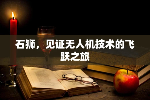 石狮，见证无人机技术的飞跃之旅