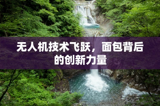 无人机技术飞跃，面包背后的创新力量
