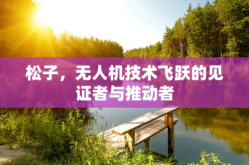 松子，无人机技术飞跃的见证者与推动者