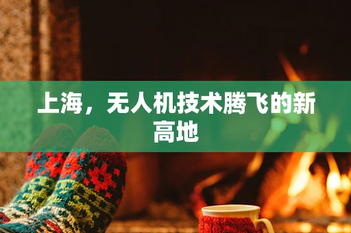 上海，无人机技术腾飞的新高地