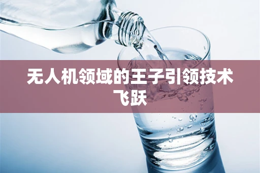 无人机领域的王子引领技术飞跃