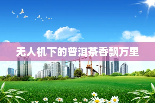无人机下的普洱茶香飘万里