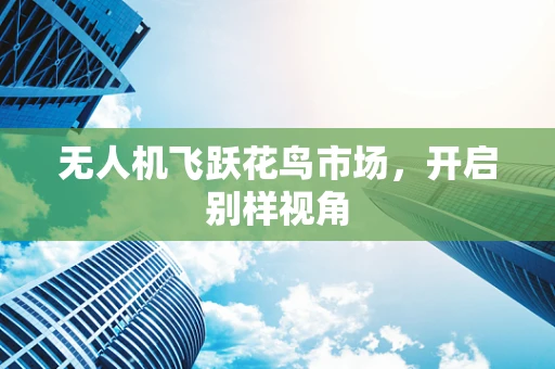 无人机飞跃花鸟市场，开启别样视角