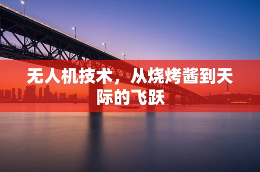 无人机技术，从烧烤酱到天际的飞跃