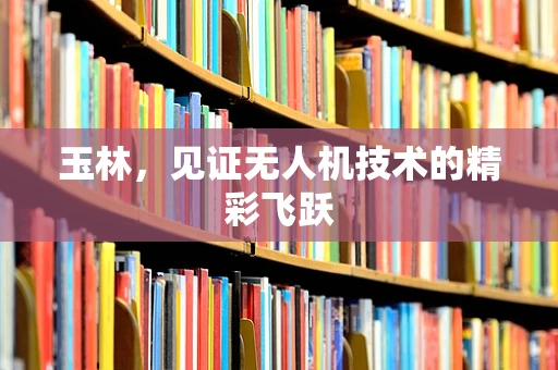 玉林，见证无人机技术的精彩飞跃