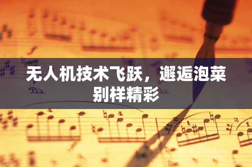 无人机技术飞跃，邂逅泡菜别样精彩
