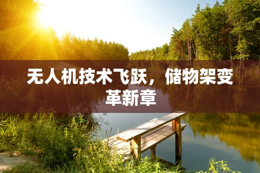 无人机技术飞跃，储物架变革新章