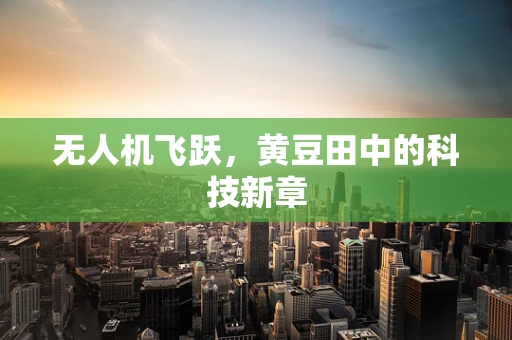 无人机飞跃，黄豆田中的科技新章