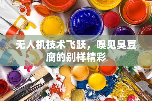 无人机技术飞跃，嗅见臭豆腐的别样精彩
