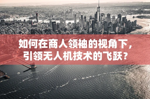 如何在商人领袖的视角下，引领无人机技术的飞跃？